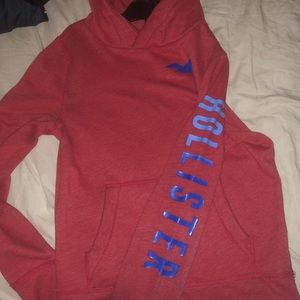 Hollister Hoodie (Branded sleeve)